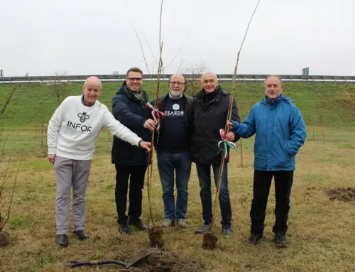 Infor ed Esaedro donano un nuovo bosco urbano alla città per il progetto KilometroVerdeParma