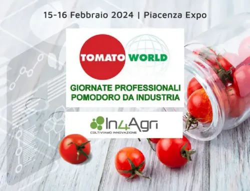 Tomato World 2024: a Piacenza Expo riflettori accesi sulla filiera del pomodoro